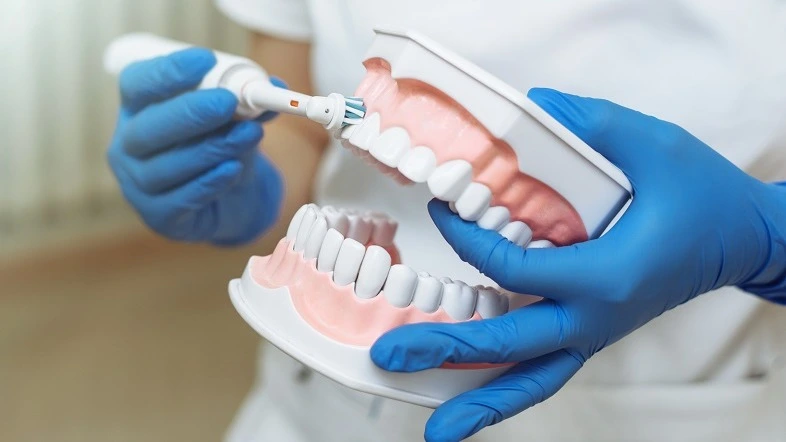 Hände mit blauen Handschuhen demonstrieren Zahnputztechnik an großem Kiefermodell – Online-Kurs Abrechnung Prophylaxe und Früherkennungsuntersuchung | Spitta Akademie